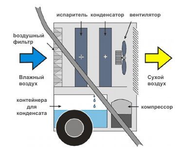 master_DHP_65_2.jpg